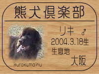 �I�[�i�[�́A���L�p�p����ł���